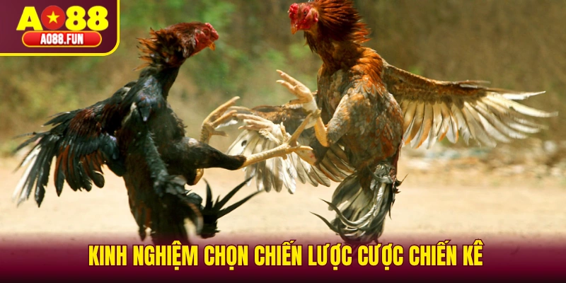 Kinh nghiệm chọn chiến lược cược chiến kê