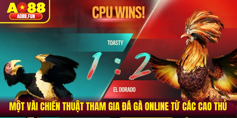 Một vài chiến thuật tham gia đá gà online từ các cao thủ